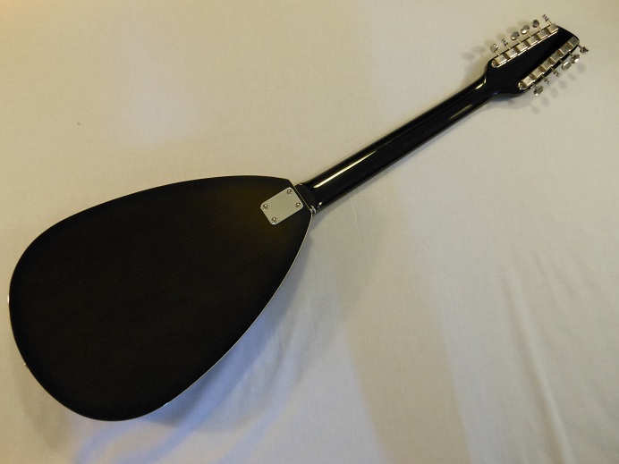 Teardrop Hollow Body 12 String Picture 2